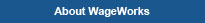 About WageWorks