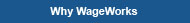 Why WageWorks
